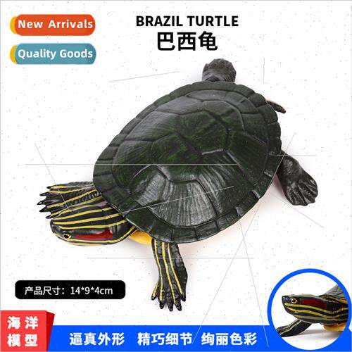 Model Turtle Brazilian Turtle Sea creature sea turtle model