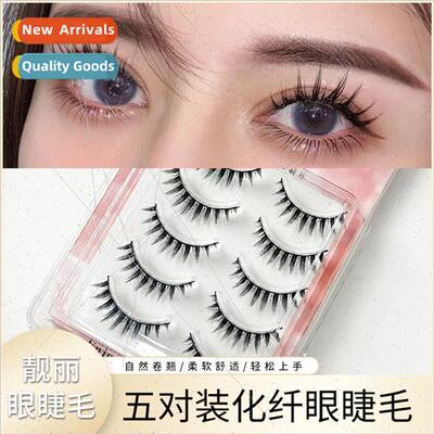Fake Eyelashes 适用Royalty Makeup 5 Pair Set Fairy Hair Fibe