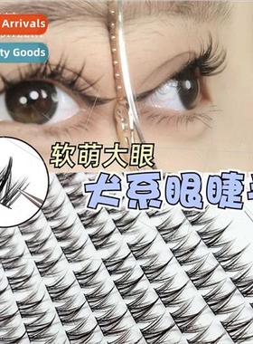 Innocent Dog Canine False Eyelash Female Natural mulation Ma
