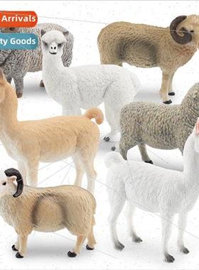 wildlife alpaca sheep model sheep pan horns goat grass mud h