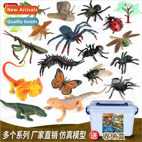 Animal insect model children compulsion toys lizard praying