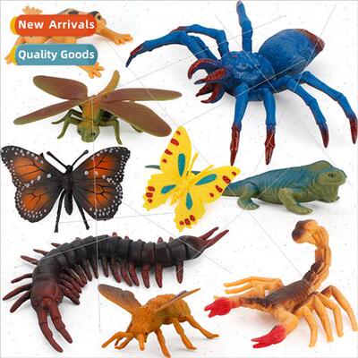 Insect适用children microscopic science education static inse