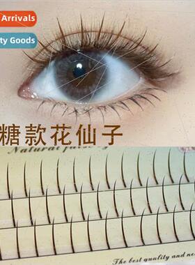 Fairy Hair Caramel Brown Fairy Eyelash Extensions Segmented