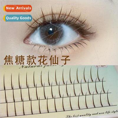 Fairy Hair Caramel Brown Fairy Eyelash Extensions Segmented
