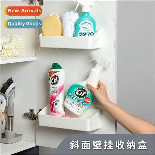 Wall Mounted Slanted Organizer Cabinet Door Wall Mounted Box