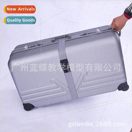 Cardiopulmonary resuscation simulator accessories  hand-pull