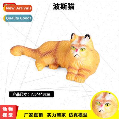 Domestic cat Persian cat American short-tailed cat pet cats