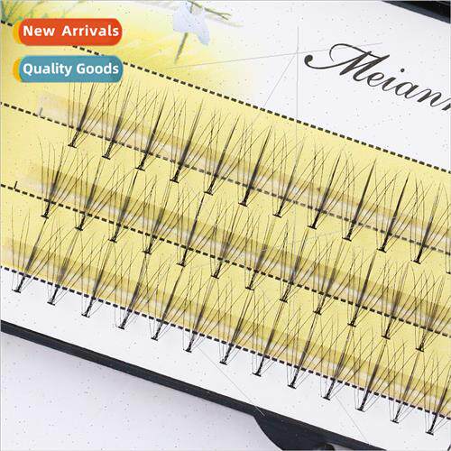 Miana eyelash extensions fairy Barbie sandwich chemical fibe