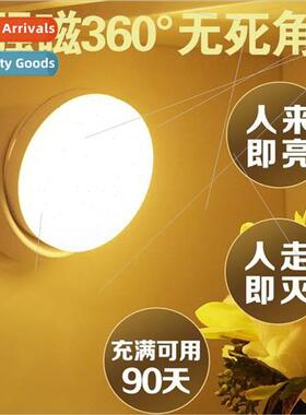 Intelligent human body sensor night light led aisle home rec