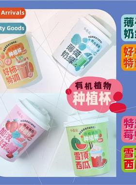 Spring wild at home manzana flower small potted plants offic