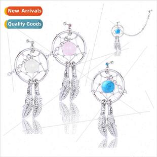 Europe 316 medical steel dream catcher earrings earrings pun