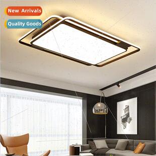 ving room light LED ceiling lamp modern simple lamps lantern