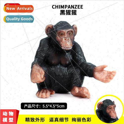 Garden model new chimpanzee king kong children cognive monke