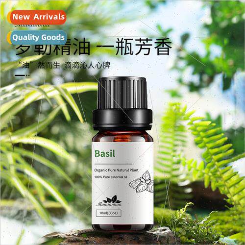 Basil Basil ngle Essential Oil Vegetable Oil Massage Balanci