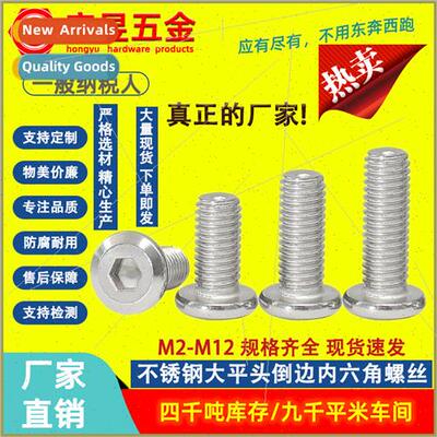 304 large flat head chamfered hexagon socket screws screws b