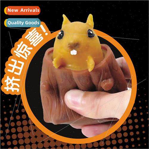 Magic Squirrel Cup Sss Relief Cute Pets Squeeze Squeeze Surp