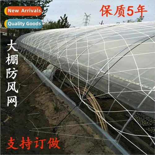 s planting farming greenhouse windbreak rope net protection