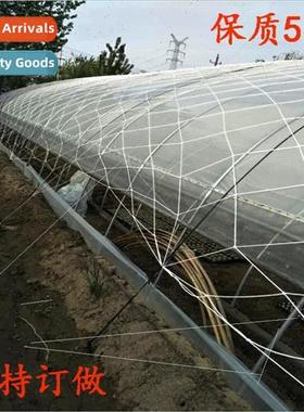 s planting farming greenhouse windbreak rope net protection