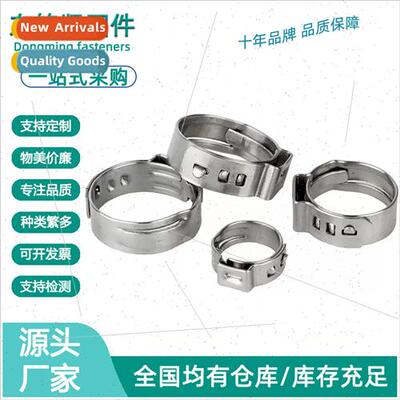 304 single lug electrodeless clamp Europe ladder model pipe
