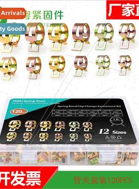 120pcs elastic hoops Set clamps hoops zinc plated Pipe clamp