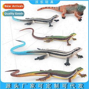 Decorative Ornament Wild Reptile zard Model Grass zard Tetra