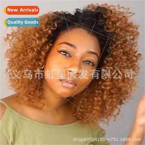 Europe Wigs Women African Small Curls Exploding Hair Gradien
