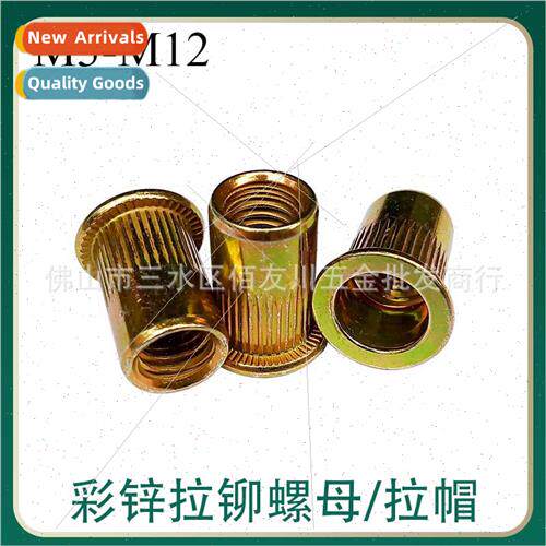 Galvanized Rivet Nut Colorful Vertical Nut Flat Head Knurled