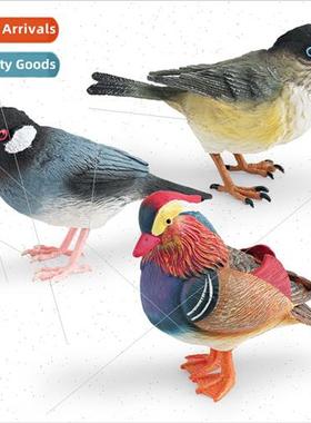 Wild birds animal model mandarin ducks bird ts children scie