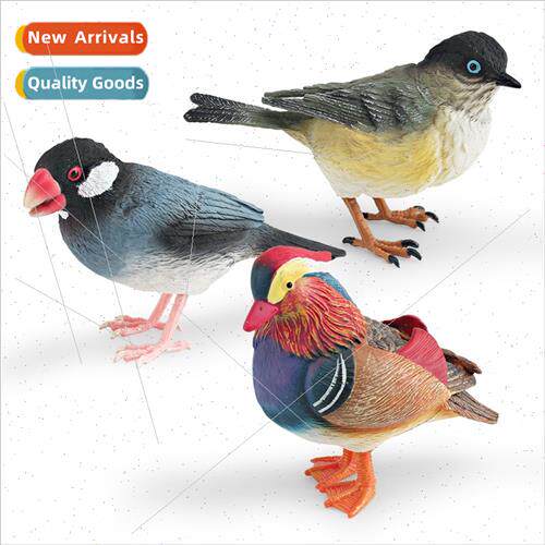 Wild birds animal model mandarin ducks bird ts children scie