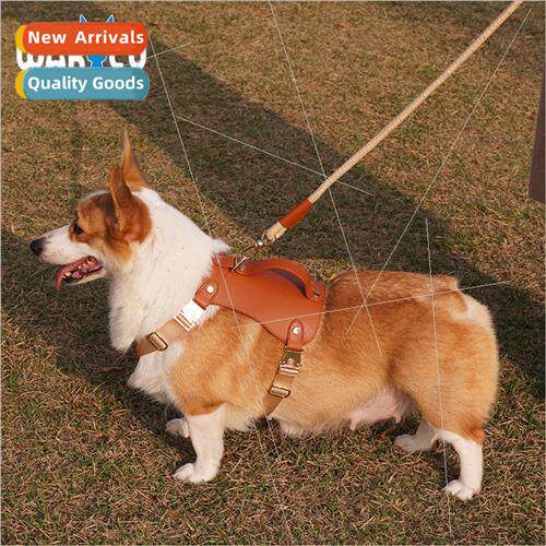 UK Outdoor Microfiber Vest Dog Leash C85 Cat Leash Retractab