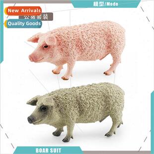 Farm poultry livestock boar model children cognive static oi