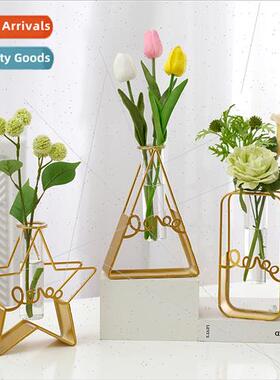 Modern mple Metal Hydroponic Vase Ornament ght xury Home vin