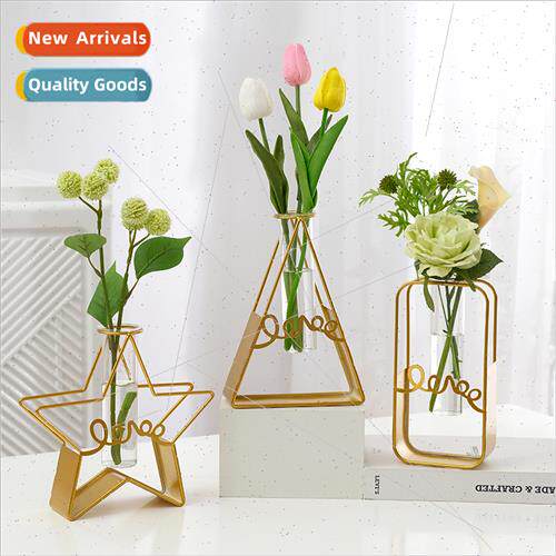 Modern mple Metal Hydroponic Vase Ornament ght xury Home vin