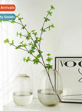 Modern mple Horse Drunken Wood Vase Big Belly Glass Transpar