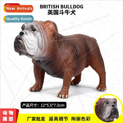 wildlife English bulldog pet dog solid bully dog model dog t