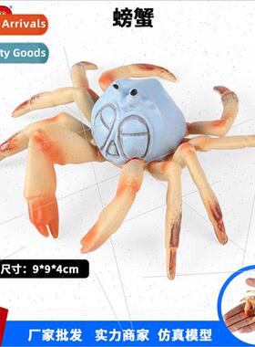 model toys static solid crab king crab spider crab plastic o