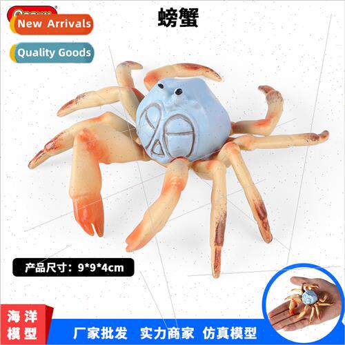 model toys static solid crab king crab spider crab plastic o