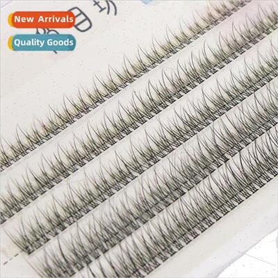 Fish Tail Duo Hair 5 Rows Mixed Swallowtail False Eyelash Wo