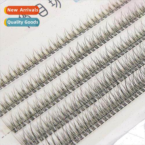 Fish Tail Duo Hair 5 Rows Mixed Swallowtail False Eyelash Wo