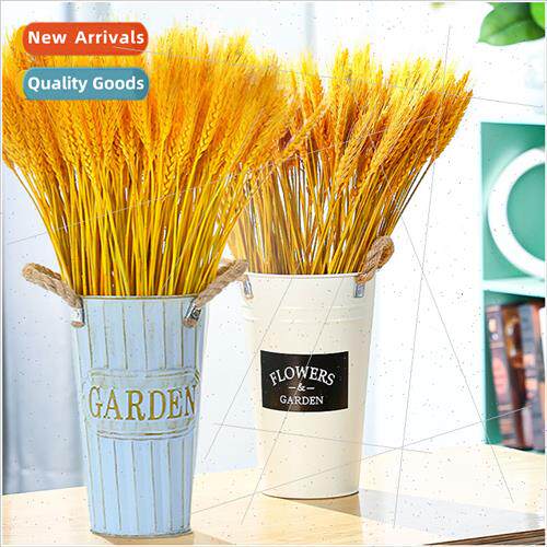 Wheat ears dried flower bouquet opening barley living room r