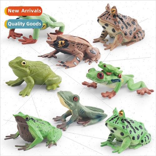 Solid e frog frog triangle whered leaf frog Darwin frog chil