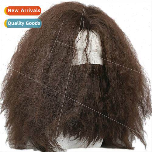 Hagrid Wig Movie Role Play Brown Long Curly Hair Beard Acces