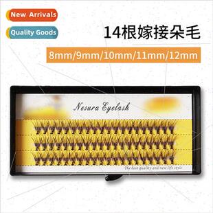 14 Scarecrow extensions planted false eyelashes 0.1 coarsene