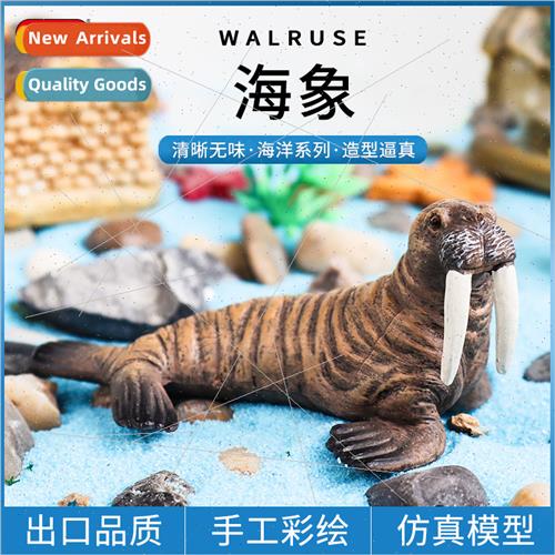 Model solid walrus sea lion children early childhood cognive