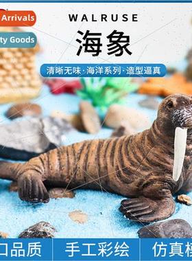 Model solid walrus sea lion children early childhood cognive