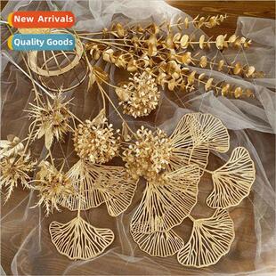 mulation gold eucalyptus annual flower ginkgo fan leaf tune