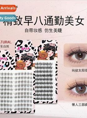 Lazy Trilogy Sunflower Mixed Large Volume 10 Rows Daily Natu