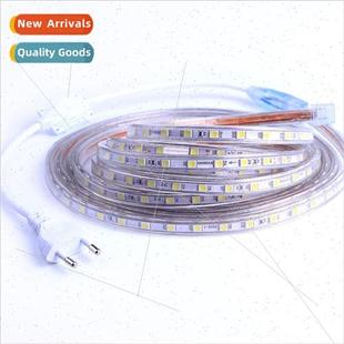 LED High Voltage 5050 Flexible ght 220V Wate Strip