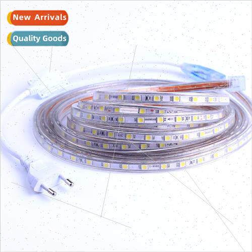 5050 Strip ght LED High Voltage 220V Flexible Strip ght Wate