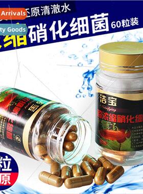 Hajibao dry powder nitrifying bacteria capsule yellow powder